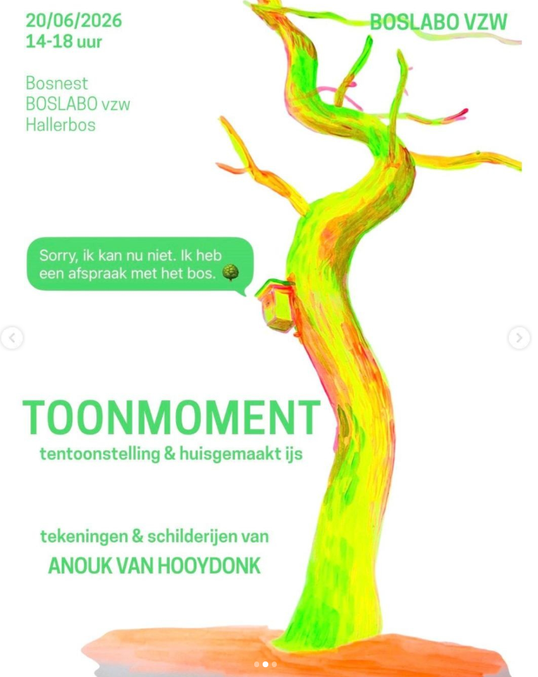 Affiche voor het toonmoment van Anouk Van Hooydonk op 20 juni 2026, met tekeningen, schilderijen en huisgemaakt ijs